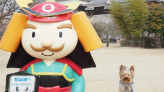 松山城と愛犬