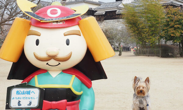 松山城と愛犬