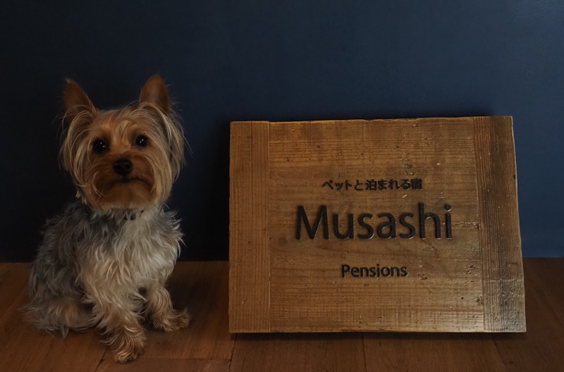 Pension Musashi